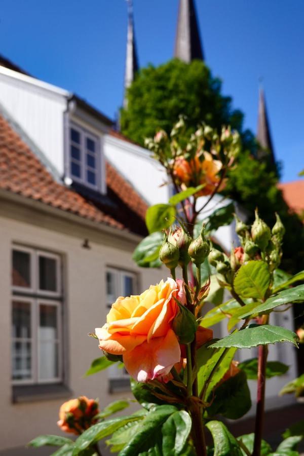 Ferienwohnung Stadthaus Rothensande Schleswig Exterior foto